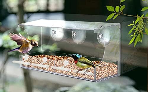 Фидер за птици од прозорецот, куќа за птици за надвор со 4 прачки, акрилен прозорец со птици со силни чаши за вшмукување и дупки