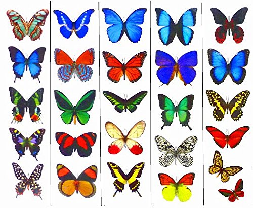 Шарени Привремени Тетоважи На Пеперутка-5 Листови-Од Утопија На Пеперутка