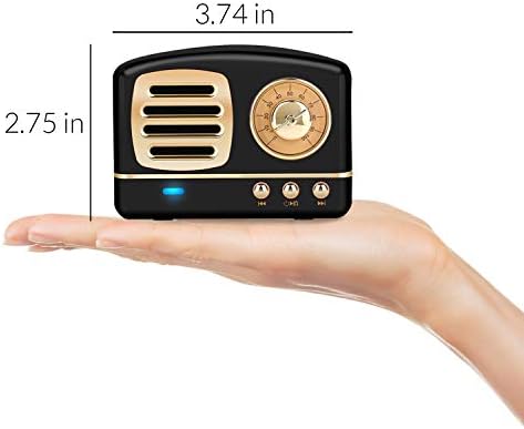Ден Адора безжичен ретро -звучник со Bluetooth со FM радио и вграден микрофон - преносен звучник за гроздобер стил компатибилен со мобилни