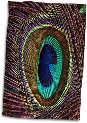 3Drose Florene Decorative III - Слика на макро на еден вистински пердув на паун - крпи