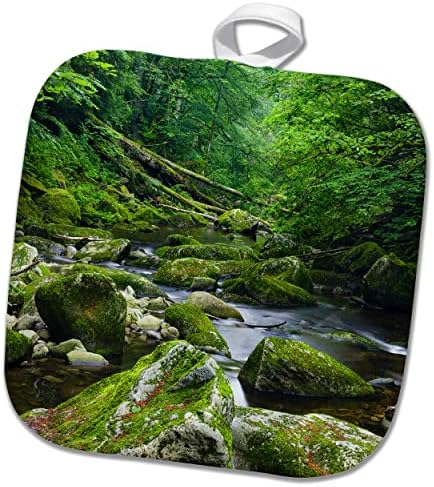 3drose Valley of River Wolfsteiner Ohe во баварска шума. Германија. - Potholders