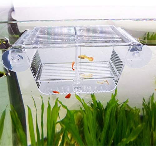 Кутија За Одгледување риби Мрестилиште За Риби Пловечка Кутија За Размножување Риби Со Отстранлива Решетка Совршен Делител На