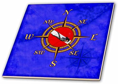 3дроза наутички компас за нуркање со женски нуркач и сина мапа на едрење. - Плочки