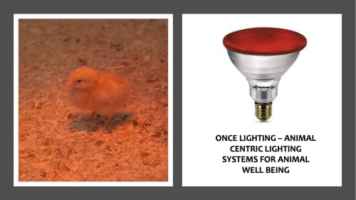 Сијалица За Инфрацрвена Топлинска Ламба За Пилешко, Црвено Светло, 175w Дизајнирана За Здравје На Младата Живина Птици Птици И Употреба На Животни