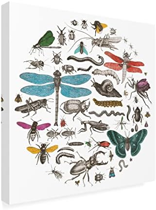 Трговска марка ликовна уметност 'круг на инсекти I Bright v2' Canvas Art by Wild Apple Portfolio 14x14