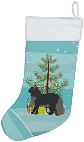 Богатства на Каролина CK4649CS MAINE COON 2 CAT MERRY CHRISLE Christmas Christman Stocking, камин што виси чорапи Божиќна сезона