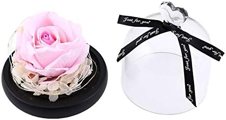 Подарок за Денот на в Valentубените на Валентин Роуз Ноќната светлина ламба Loveубов украс микро пејзаж, 13,5 * 12 см, розова