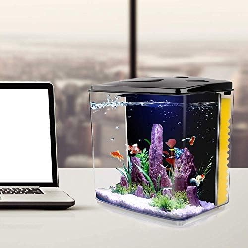 1.2 Gallon Betta Aquarium Starter Kits Square Rish Rish со LED светло и филтерска пумпа
