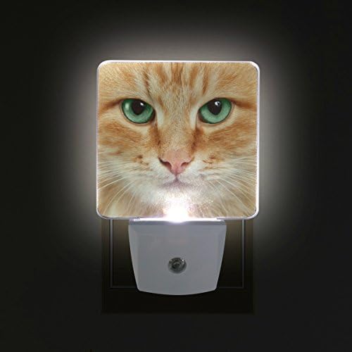 Наинл сет од 2 симпатични црвени мачки портрети со глава на глава за автоматски сензор предводен самрак до зори ноќен светлосен приклучок