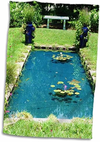 3drose florene вода пејзаж - езерцето на Лили подлога - крпи
