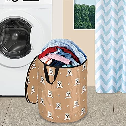 Цртан филм Симпатично куче се појавува алишта за перење алишта со капаче за преклопување на капакот за складирање на капакот за хотелска бања
