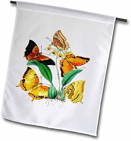 3дроза Слика На Група Жолти И Опсег Пеперутки Околу Зелените Лисја-Знамиња