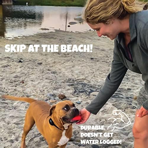 Прескокнете NN ' Донеси Пловечки Куче Играчки Qty 2 | Камен Прескокнување Исполнува Донеси | Забава За Базен, Езеро, Плажа, И Земјиште |