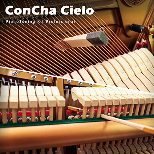 Комплет за подесување на професионални пијано Conchacielo: Универзален комплет за алатки за подесување на пијано, поставен со преносен случај,
