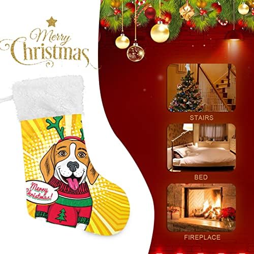 Алаза Божиќни чорапи Смешно симпатично изненадување на Бигл Класик Персонализирани големи декорации за порибување за семејни празнични