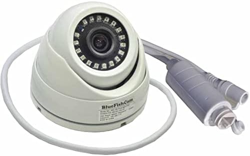 Bluefishcam Wired POE IP камера 4MP Водоотпорен IP66 4.0MP метална купола IP камера IP Surveillance System
