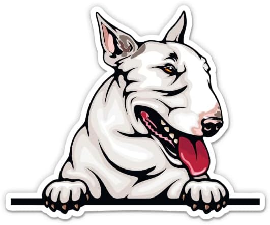 Bull Terrier Peeking налепници - 2 пакувања од 3 налепници - водоотпорен винил за автомобил, телефон, шише со вода, лаптоп -