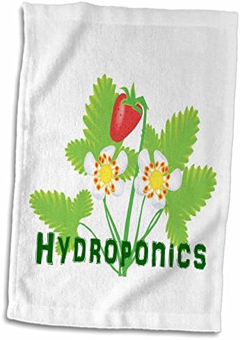 3drose хидропоника со дизајн на јагоди - крпи