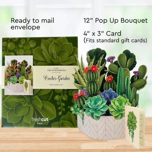 Freshcut Pop Up Cards, Field of Daisies + Cactus Garden, сет од два 12 -инчни животна големина засекогаш цвет, пукајте букети 3Д скокачки