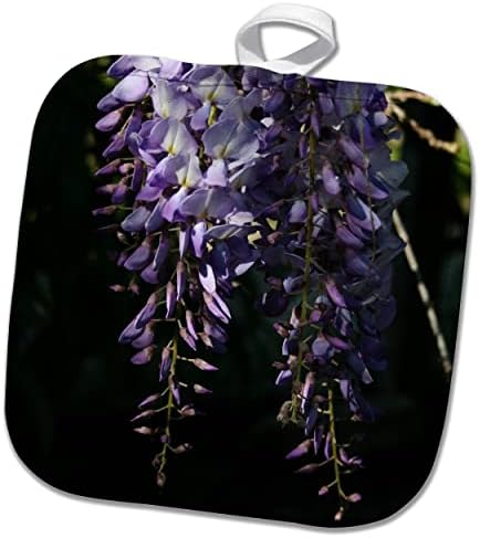 3drose wisteria кластери со засенчена фотографија во позадина - Потолци