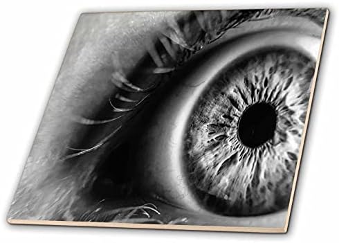 3дроза Слика На Црно-Бело Макро На Човечки Плочки За Очи