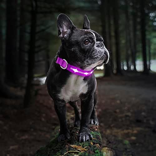 Лаванда миленичиња предводени од кучиња јака- водоотпорен | USB-C полнење, 10 часа траење на батеријата | Осветли јака за кучиња