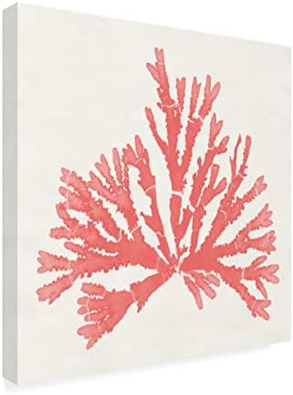 Трговска марка ликовна уметност „Пацифичко море мовс IV корал“ платно уметност од портфолио на диво јаболко 18х18