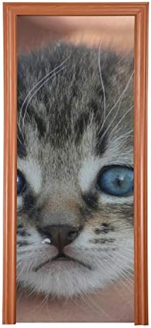 Декорации за влезна врата животинска мачка мачиња миленичиња домашна мачка таби сива врата покрива украси трајни ткаенини врата завеси