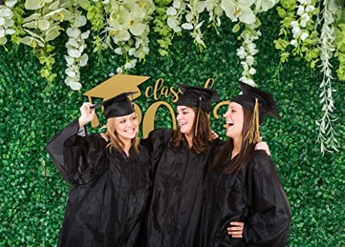 Ticuenicoa 7x5ft зелени лисја wallидни честитки за позадината на фотошот класа од 2023 година честитки за дипломирање забава декор пролет