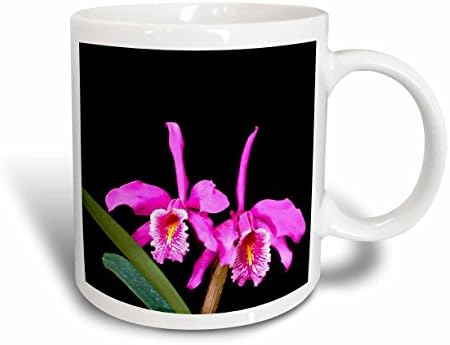 3DROSE MUG_62502_1 Hotешки розови орхидеи на црна керамичка кригла, 11-унца