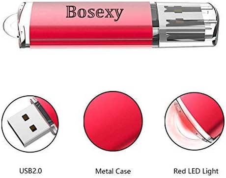 BOSEXY USB Меморија Стапчиња USB 2.0 Флеш Дискови Пенкало Диск 10 Пакет