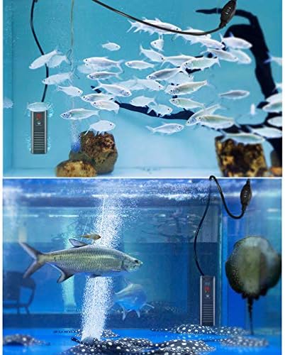 RXBFD Аквариум термостат грејач, рамен потоп на резервоарот за риби со прилагодлив термостат, со интелигентен ЛЕР температурен приказ и експлозија-доказ