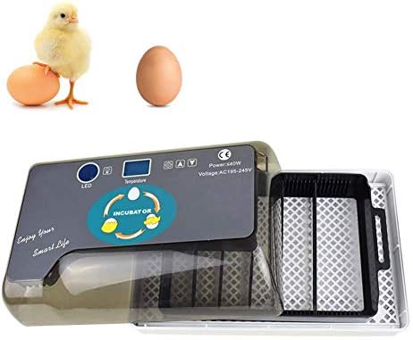 АЛРЕМО 103234536 Инкубатор За Јајца Автоматско Вртење Живина Хачер 12 Контрола На Температурата На Јајцата За Кокошки Патки Гуски Птици