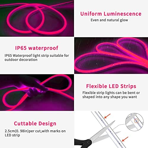 Lucienstar 16.4ft RGB Neon Rope Light + 16.4ft Сини флексибилни LED ленти светла, 12V за декор на отворено во затворено, вклучувајќи адаптер за