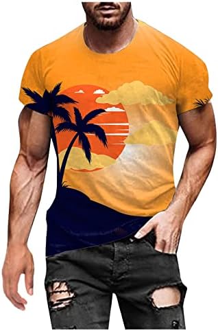 Ајасо модна 3Д плажа печатена маица за кратки ракави за машка маица, обична хавајска шема Атлетска летна маица маица маица