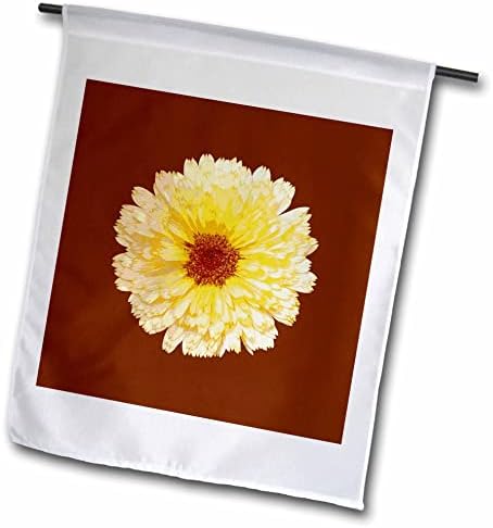3дроза Убава Жолта Невен Ботаничка Уметност - Знамиња