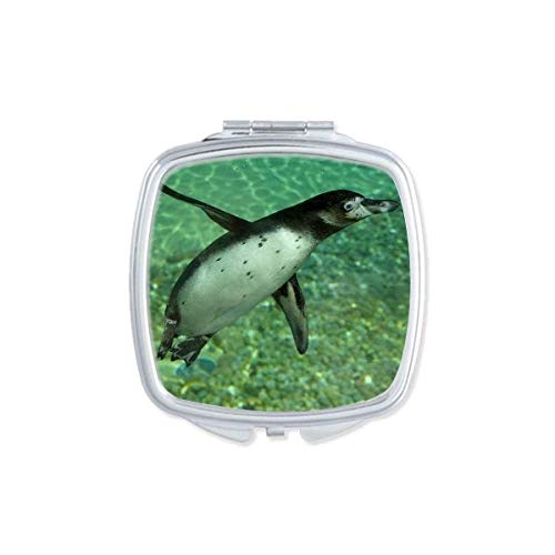 Вода Јужен Пингвин Наука Природа Огледало Пренослив Компактен Џеб Шминка Двострано Стакло