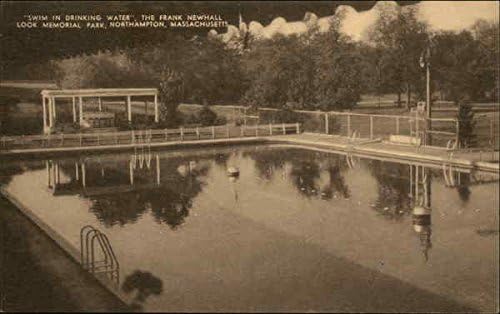 Пливаат во вода за пиење - Меморијалниот парк Френк Newухал, Магионерски парк, оригинална античка разгледница