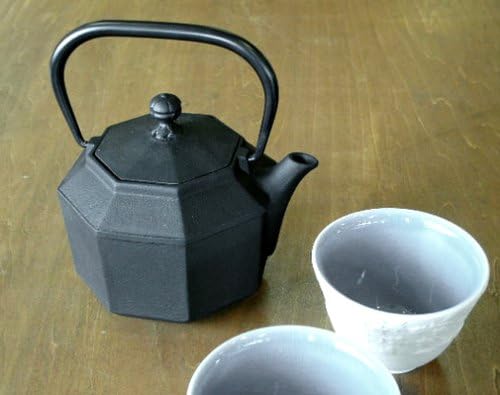 Нанбу Теки Октагон чај тенџере од Сеиидо