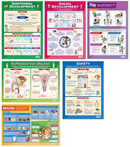 Постери за Развој на деца-Комплет од 12 – Ламинирани – 33 х 23.5 - Постери За Образовно Училиште И Училница