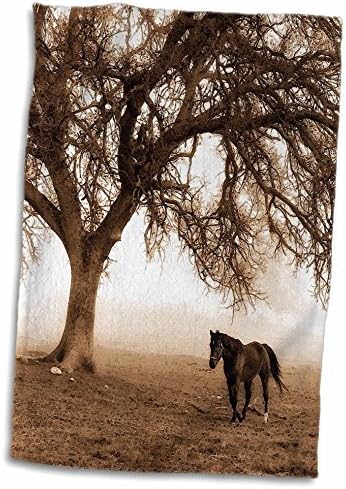 3Д Роуз западна сепија тонирана коњ на ранчот со дабово дрво TWL_202972_1 пешкир, 15 x 22, повеќебојни