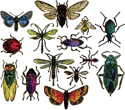 Sizzix Framelits Die Set Entomology од Тим Холц, повеќебојно