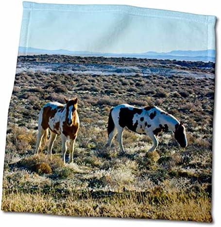 3drose USA, Невада, диви коњи кои пасат во пустината „Блек Рок“, крпи