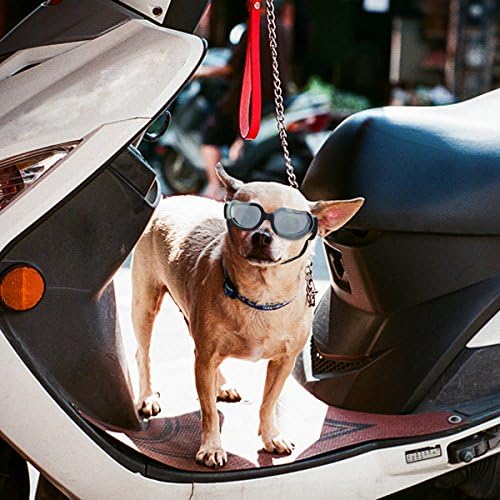 Намсан мали очила за сонце од кучиња УВ Заштита Прилагодливи кучиња Очила за лесна абење на ветерници за моторцикли кученце очила