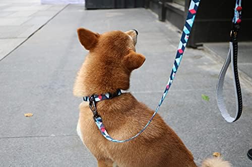 Leash Everking Dog, 5 ft полиестер, цврста кука со удобна рачка за поставување и 3М рефлексивни ленти за обука за одење, трчање за олово