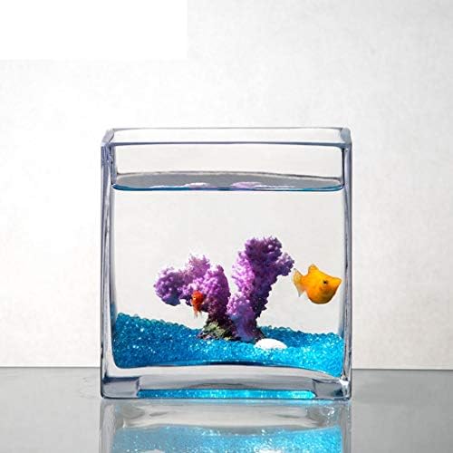 Hanxiaoyishop риба сад личност креативен квадрат стакло риба резервоар Аквариум домашна дневна соба десктоп желка резервоар аквариум