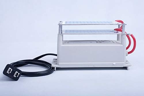 Озон Генератор прочистувач на воздух 10000 мг/ч Еднаква на 10гр/ч озон плочи озон машина за производство 110В