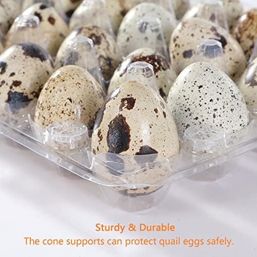 Laojbaba 60 пакувања плаша јајца картони 24 решетки чисти садови за јајца од јајца мини држач за диспензерот за јајца од пластична