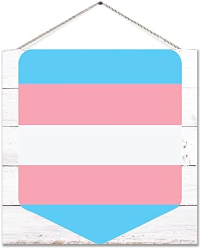 Јас сум пансексуален дрвен знак геј гордост wallид знак ЛГБТ знак виножито еднаквост лезбејска декоративна плакета што виси wallидна