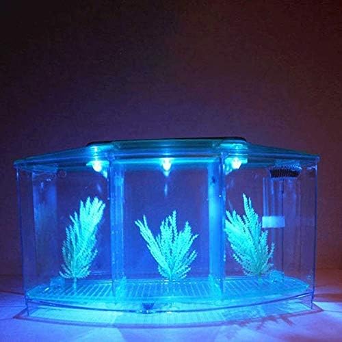 WSSBK преносен мини риба резервоар аквариум риба аквариум резервоар LED светлосен филтер за делител на вода Дома декор риба сад водна